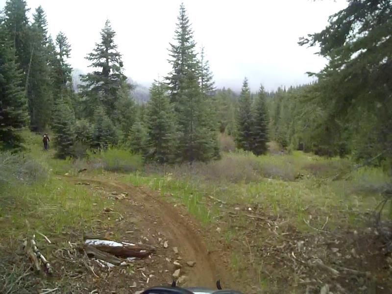 Image31.jpg