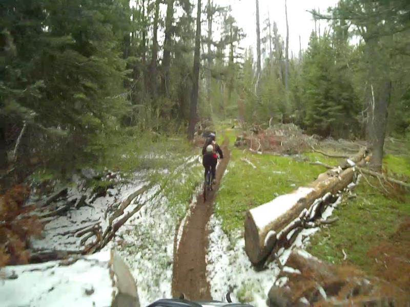 Image36.jpg
