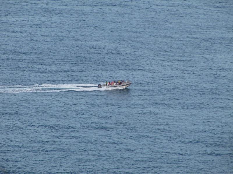 IMG_2139.jpg