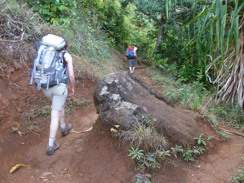 P1180462.jpg