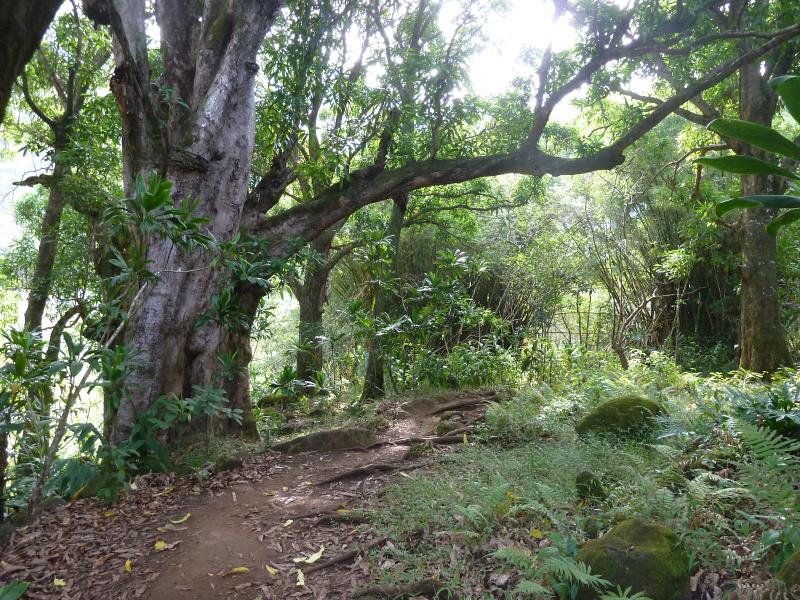 P1180517.jpg