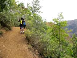 IMG_2486.jpg