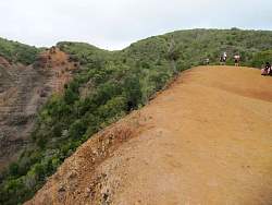 IMG_2490.jpg
