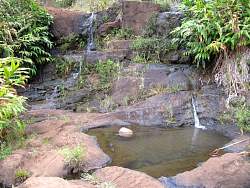 IMG_2507.jpg