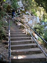 IMG_4792.jpg