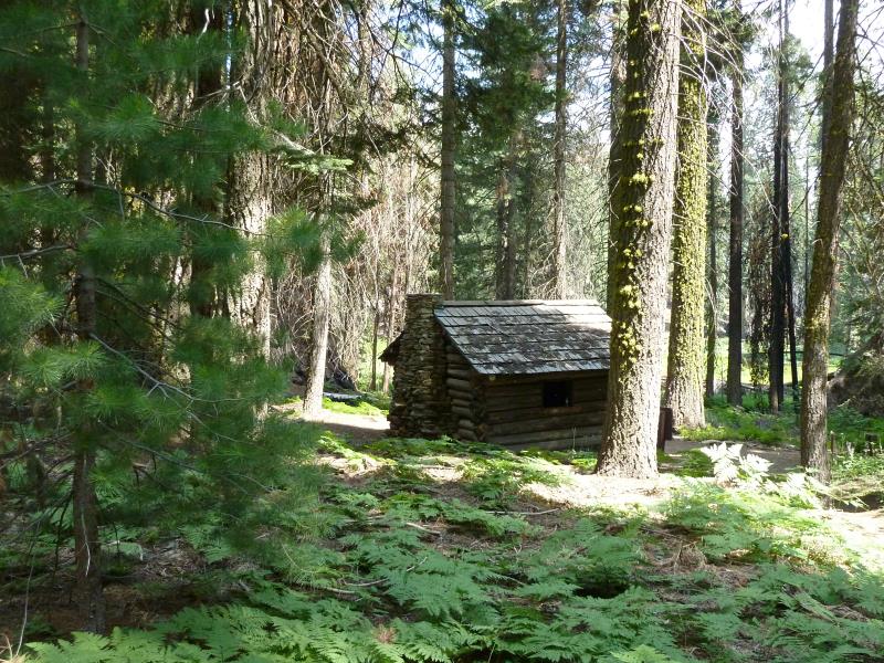 P1230786.jpg