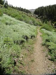 IMG_5000.jpg