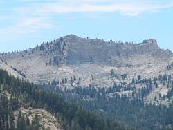 IMG_5008.jpg