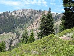 IMG_5019.jpg