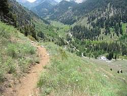 IMG_5021.jpg