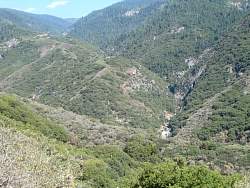 IMG_5023.jpg