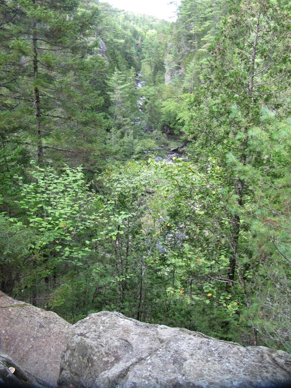 IMG_5190.jpg