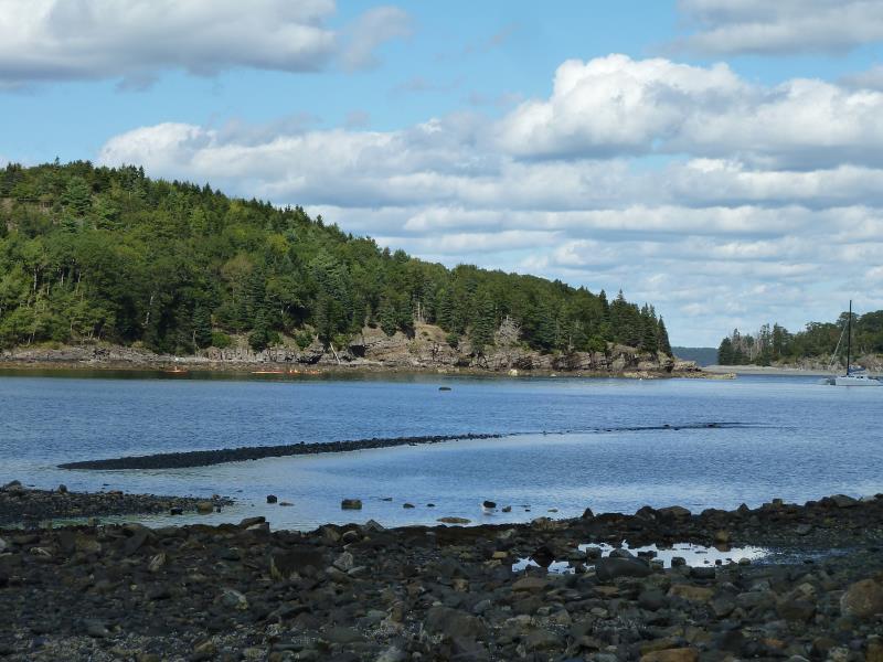 P1250129.jpg