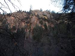 IMG_5990.jpg
