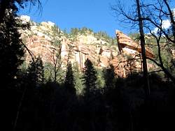 IMG_6009.jpg