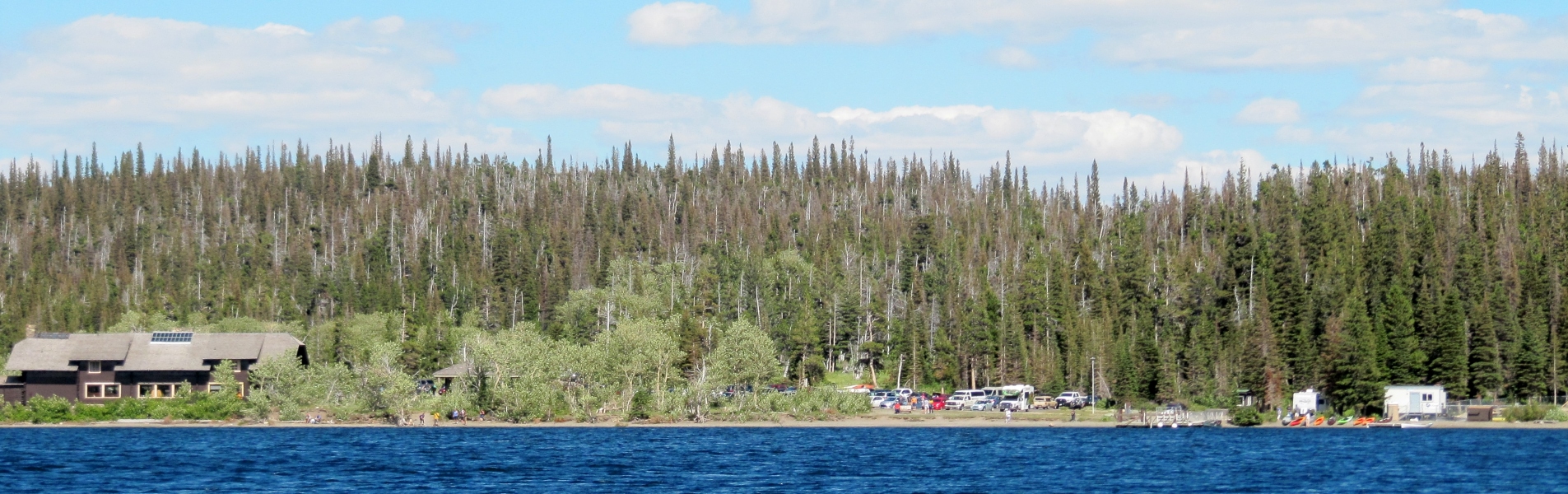 IMG_8331crop.jpg