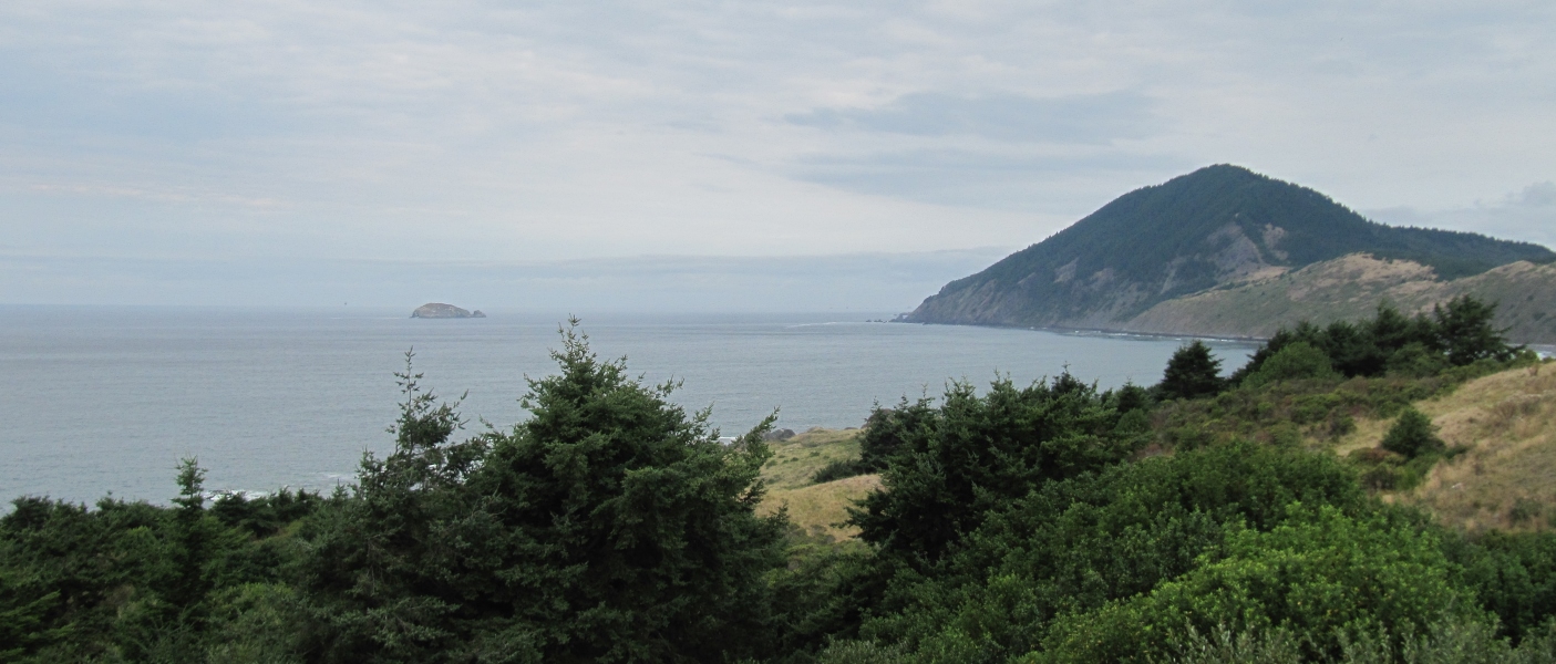IMG_8652crop.jpg