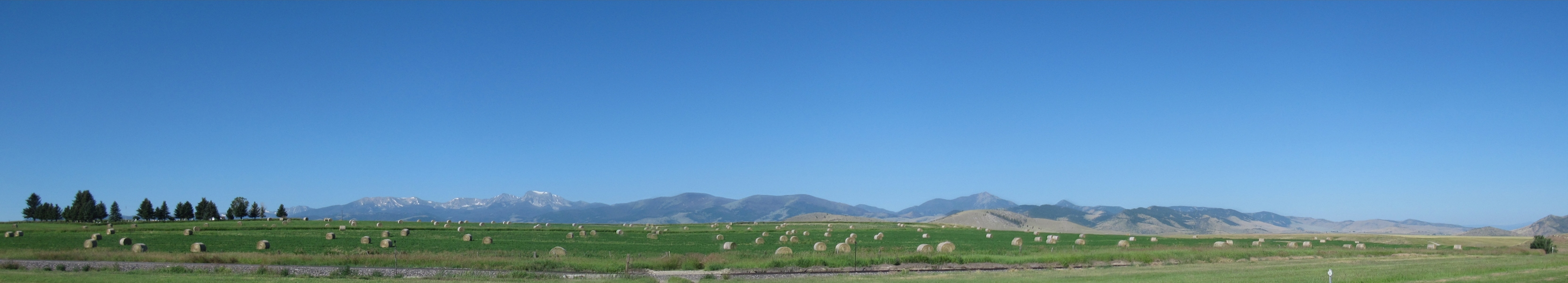 STA_8189pan.jpg