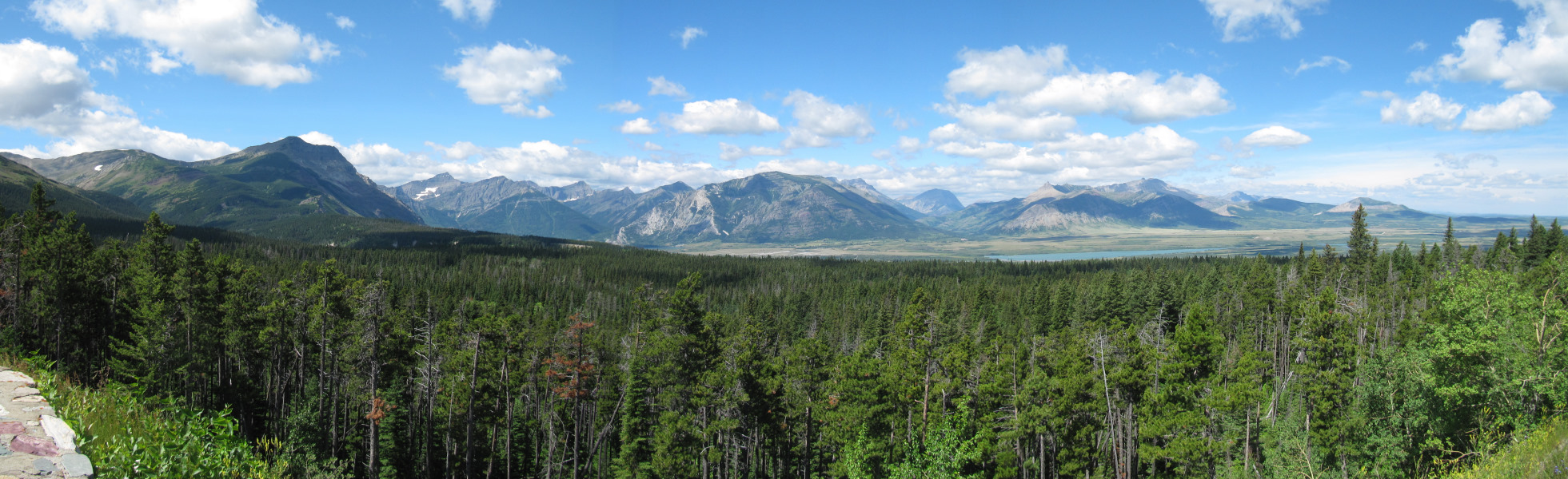 STA_8212pan.jpg