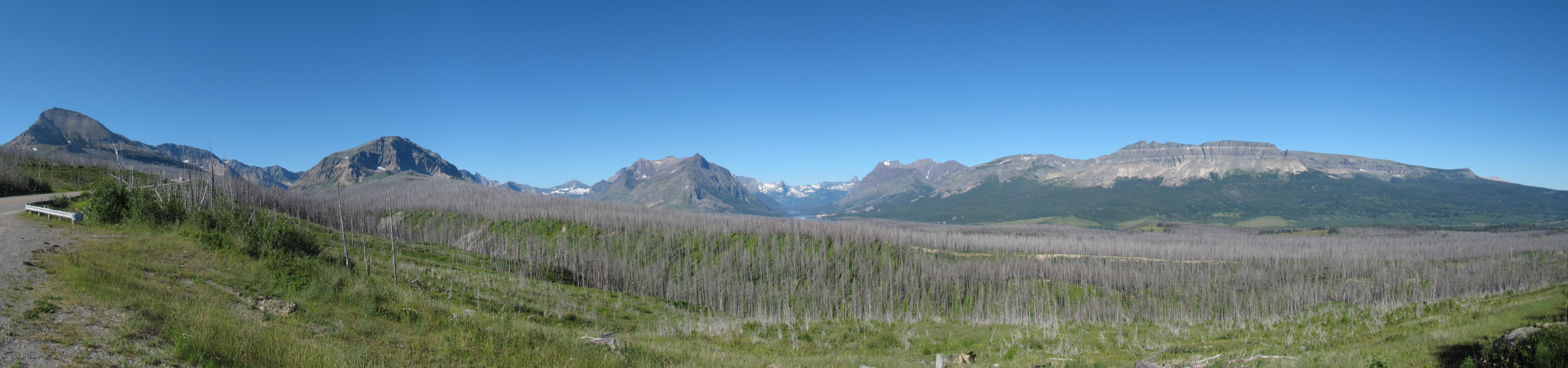STA_8342Pan.jpg
