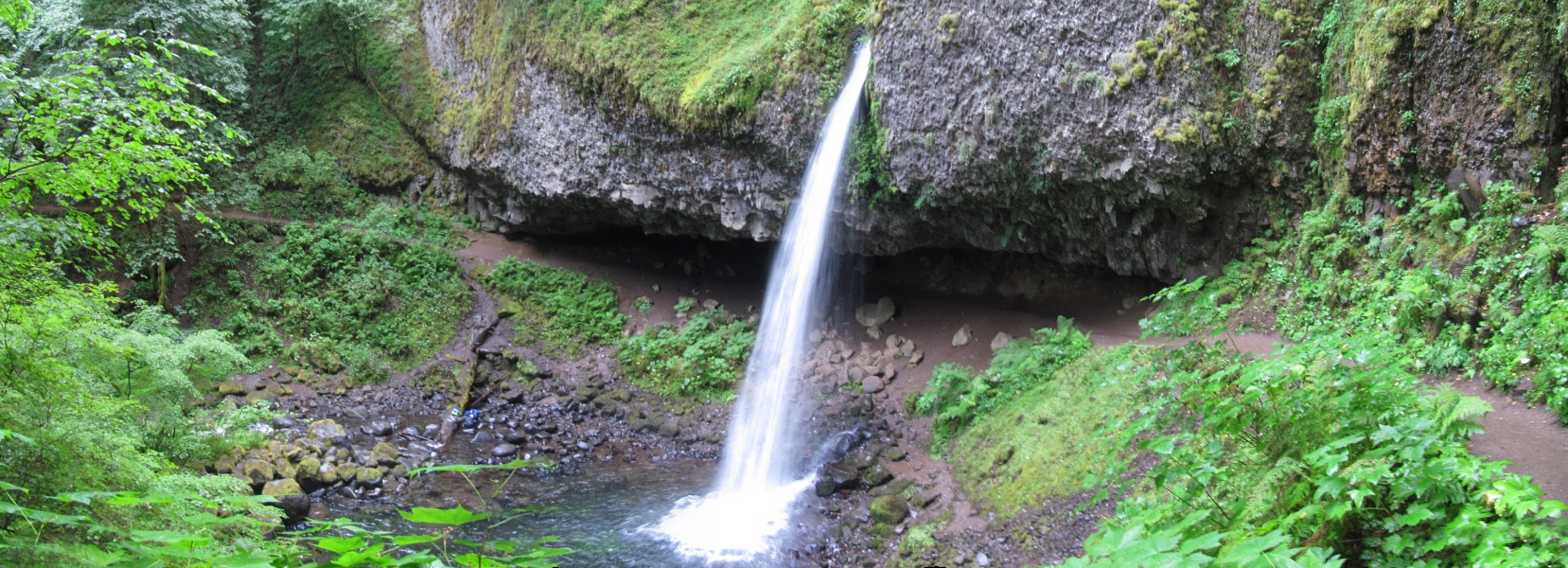 STA_8626pan.jpg