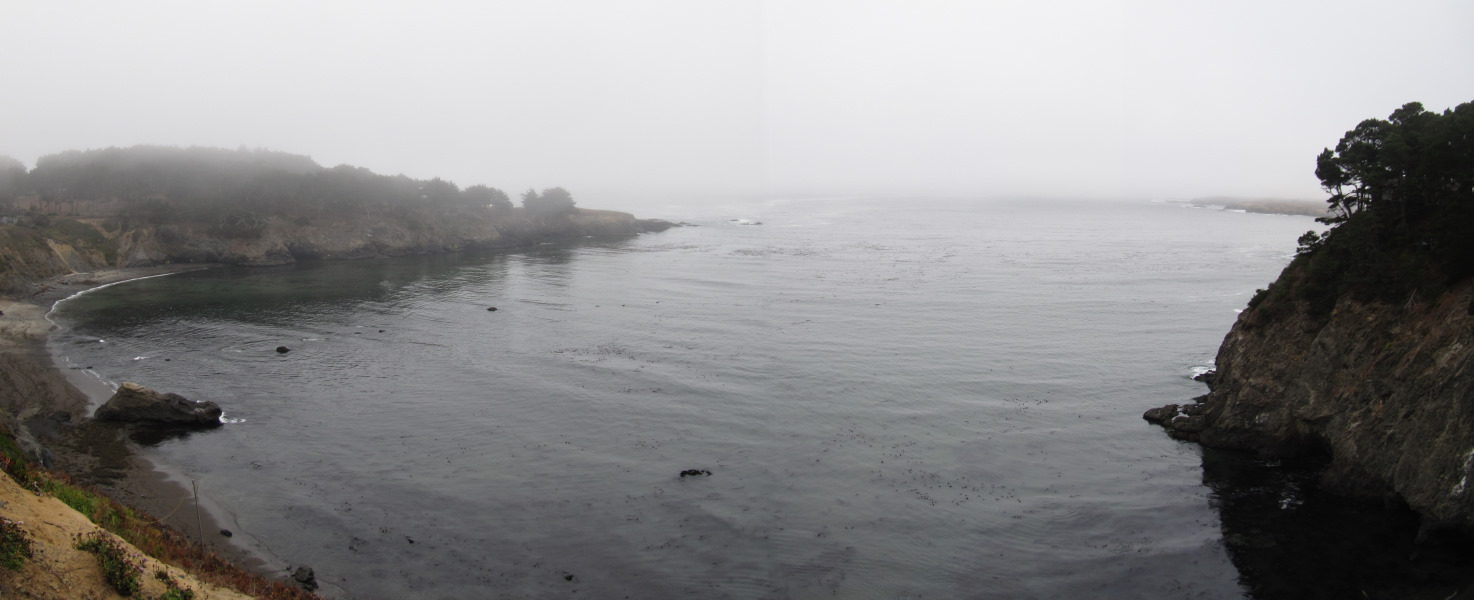 STA_8740pan.jpg