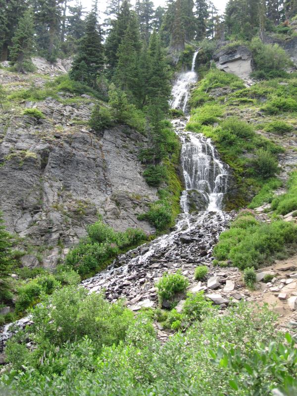 IMG_7558.jpg