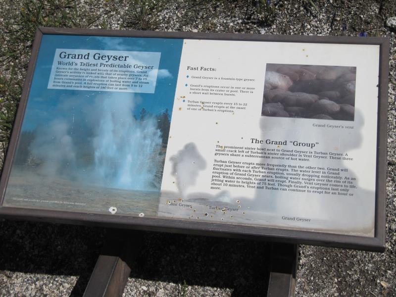 IMG_7978.jpg