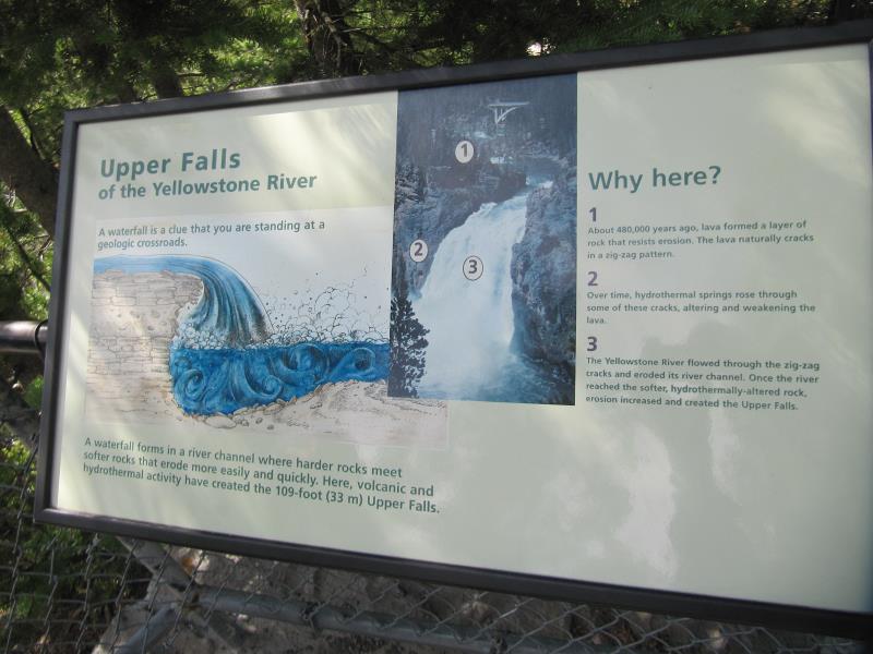 IMG_8133.jpg