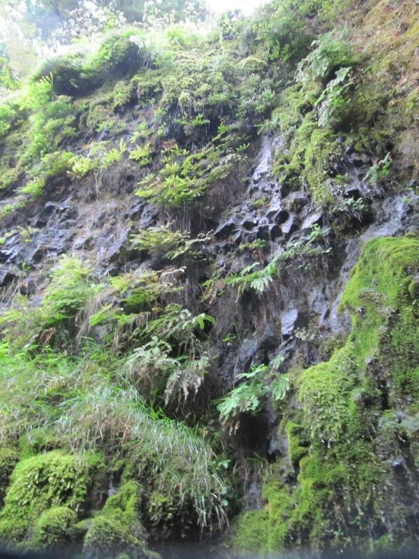 IMG_8614.jpg