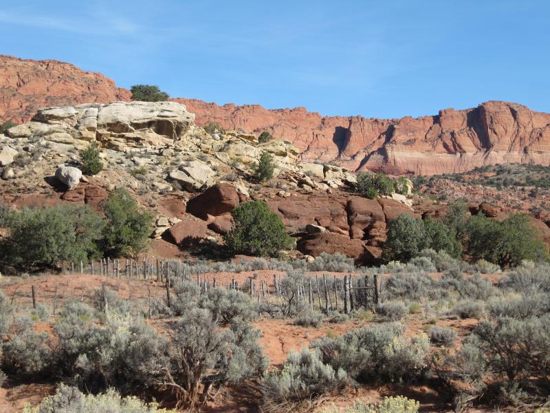 IMG_8903.jpg