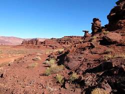IMG_9076.jpg