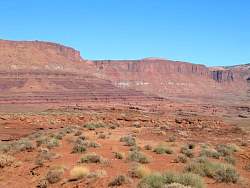 IMG_9084.jpg
