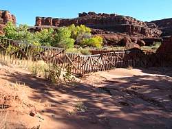 IMG_9094.jpg