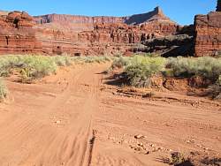 IMG_9096.jpg