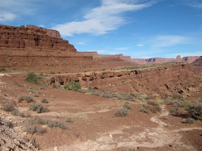 IMG_9305.jpg