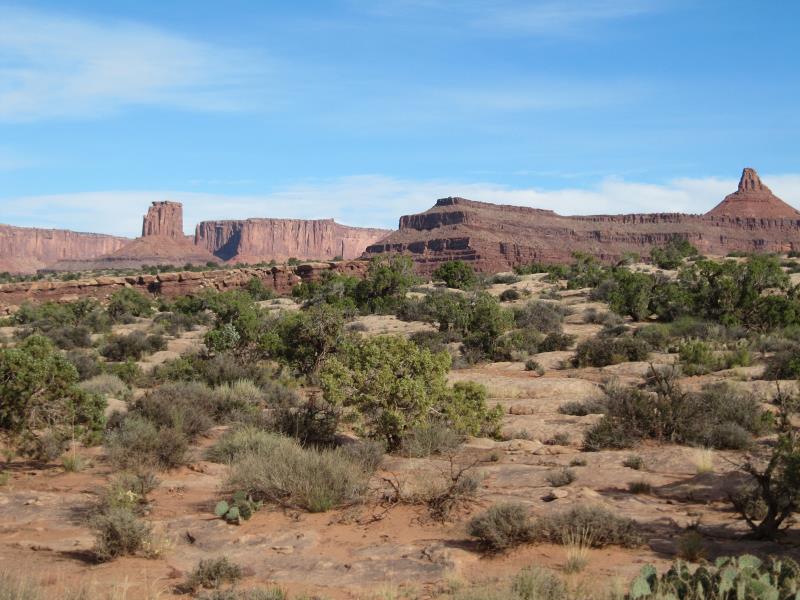 IMG_9307.jpg