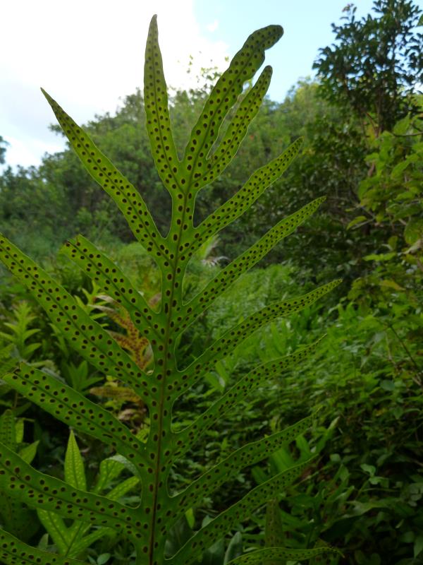 P1280854.jpg