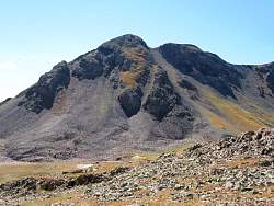 IMG_0433.jpg