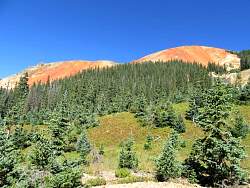 IMG_0455.jpg