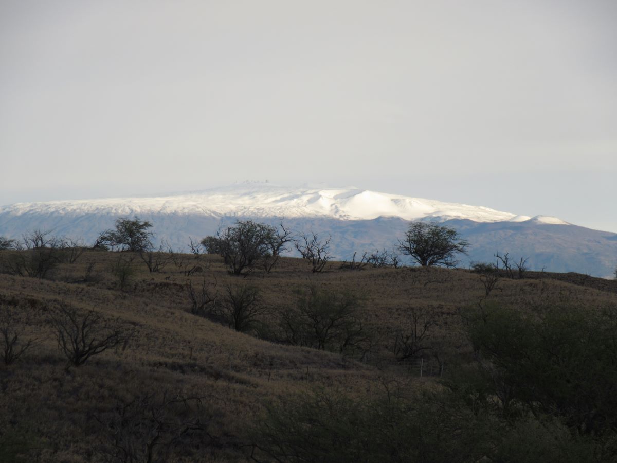 IMG_5390.jpg