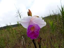 IMG_5189.jpg