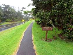 IMG_5284.jpg