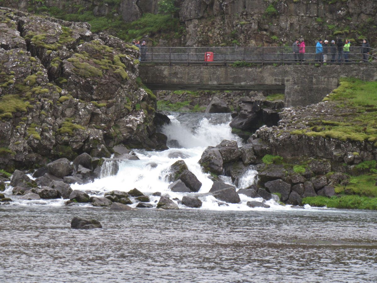 IMG_8045.jpg