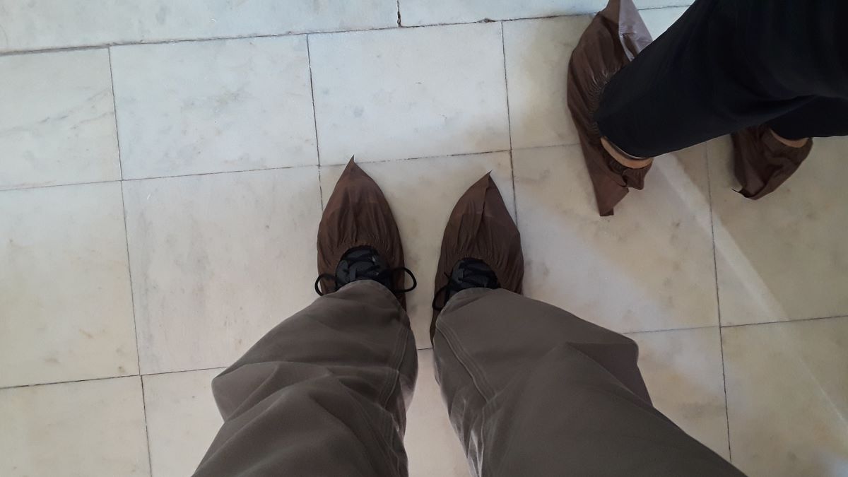 20180718_102631.jpg