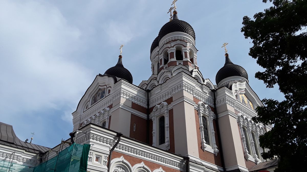 20180719_102103.jpg