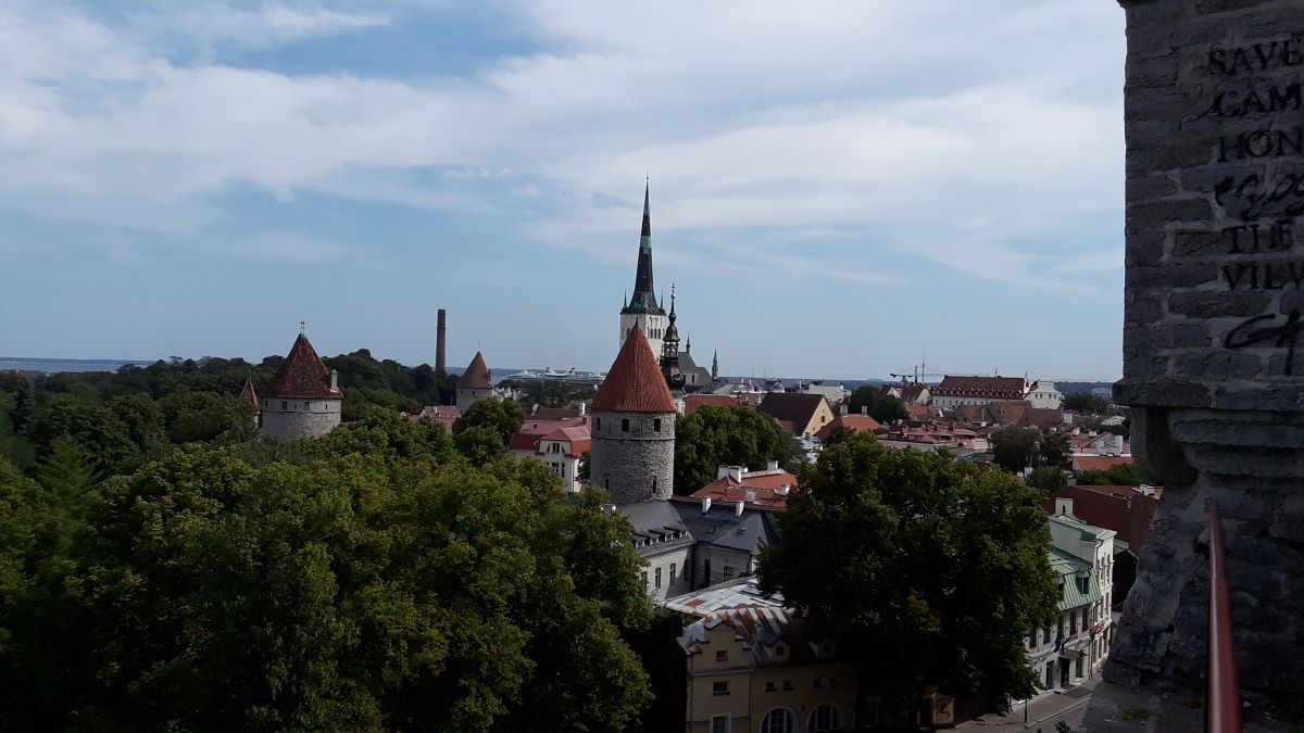 20180719_110221.jpg