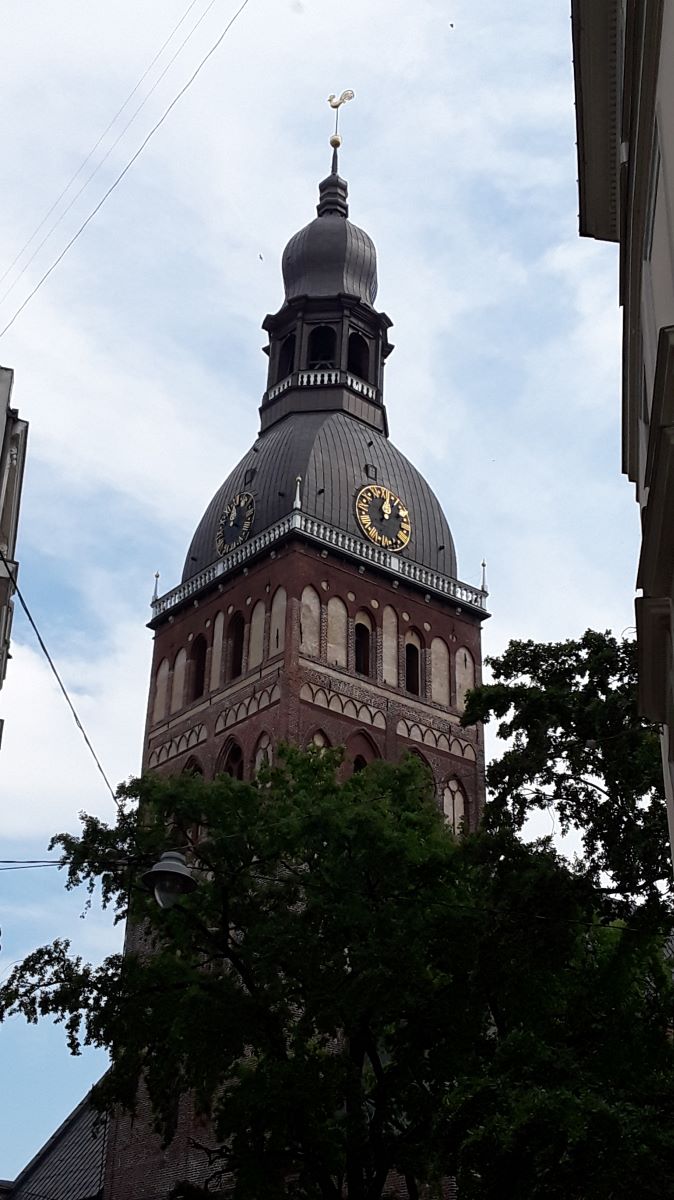 20180720_120616.jpg