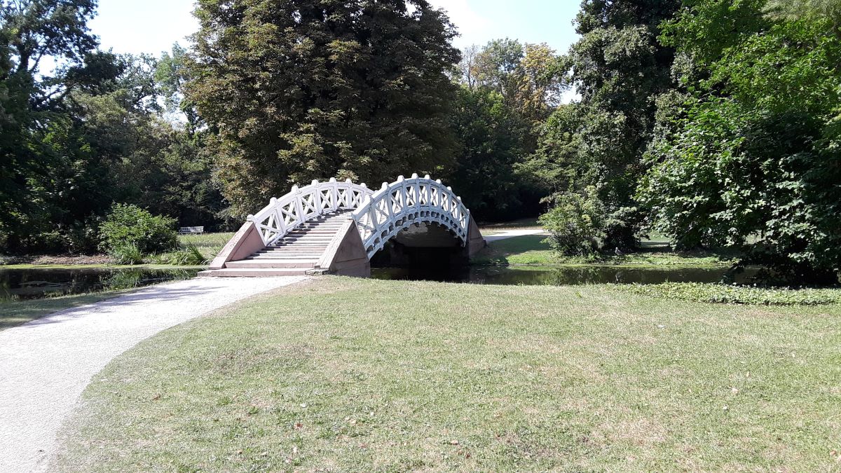 20180724_152716.jpg