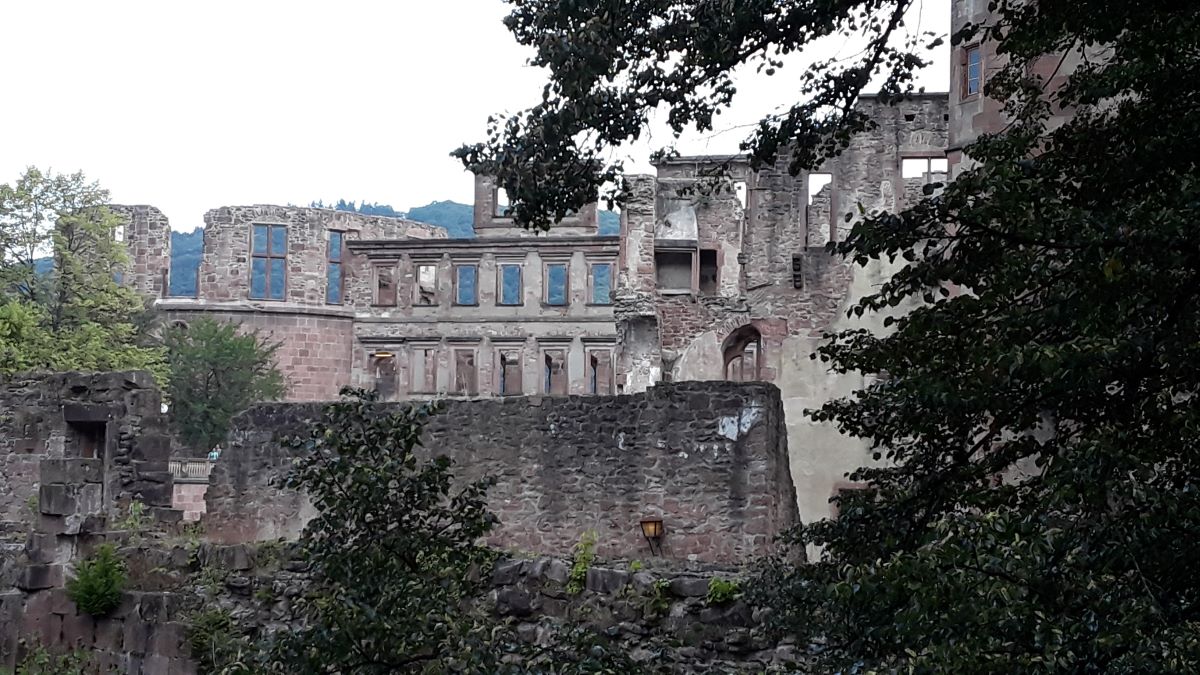 20180725_123307.jpg